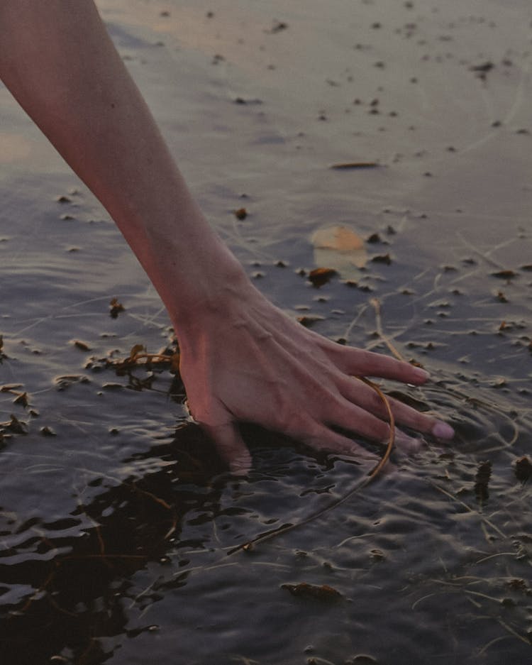 A Hand Touching Water