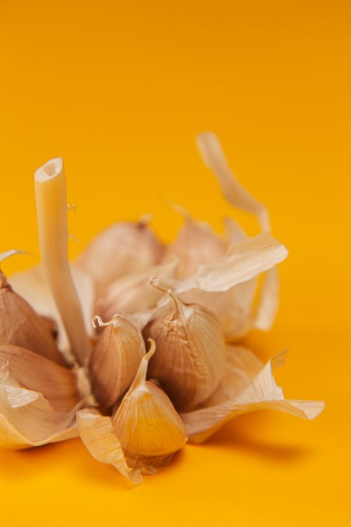 Free Detailed close-up of garlic cloves on a bright yellow background, emphasizing texture and contrast. Stock Photo