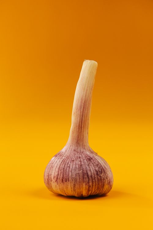 Free Single garlic bulb set against a bold yellow backdrop, ideal for food-themed projects. Stock Photo