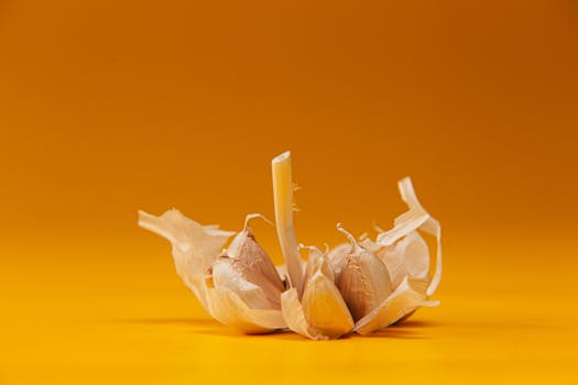 Close-up of a garlic bulb on a striking yellow background, capturing its natural texture.