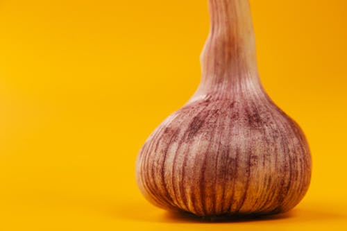  Extreme Close Up Photo of Garlic