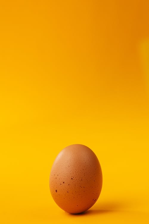 Free Brown Egg on Yellow Surface Stock Photo