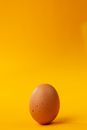 Brown Egg on Yellow Surface
