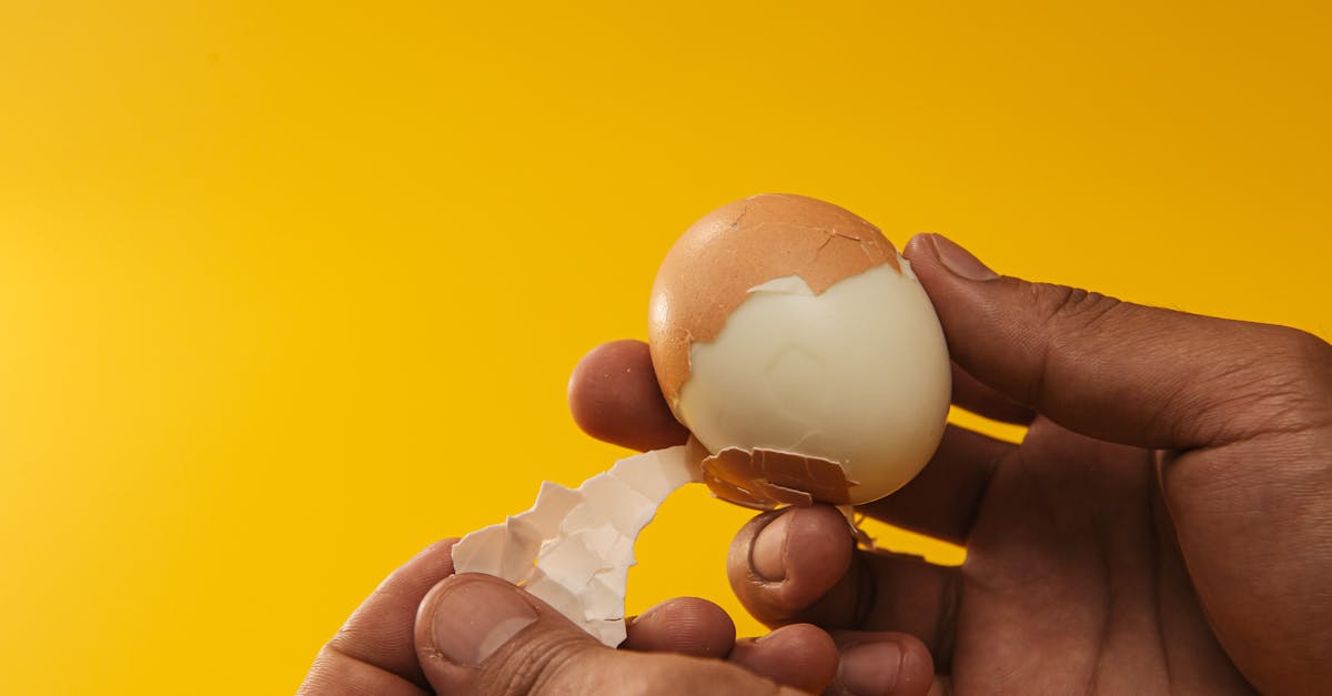 Removing Eggshells Safely