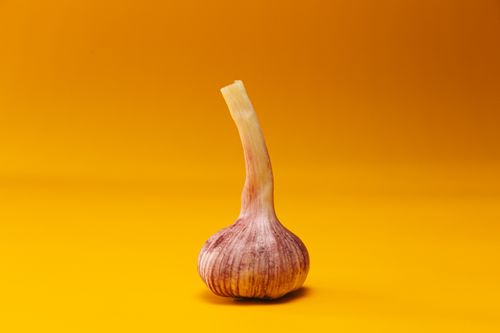 Free Close-up of a garlic bulb against a vivid yellow background, perfect for culinary concepts. Stock Photo