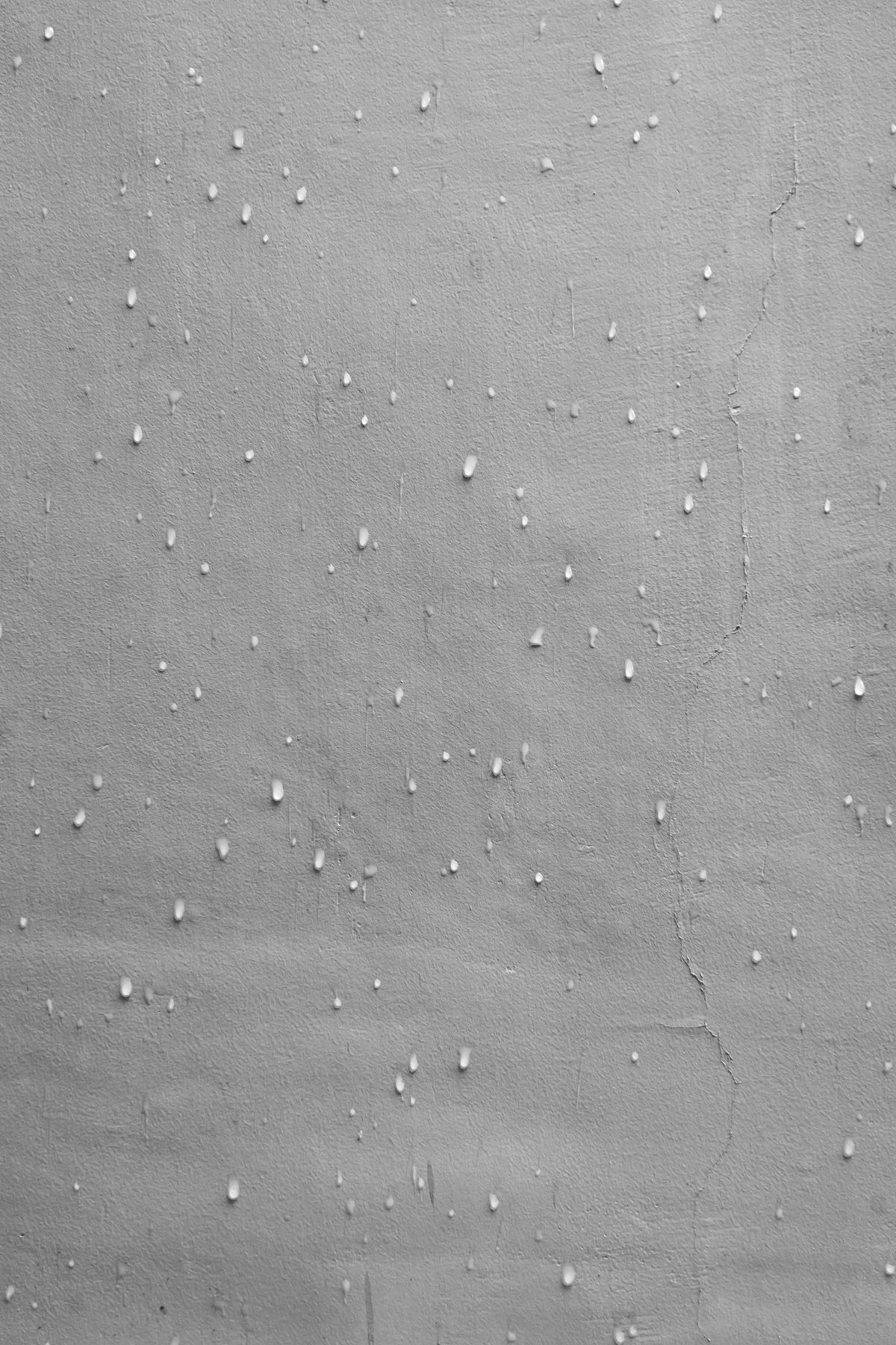 Moisture and penetrating damp on a wall