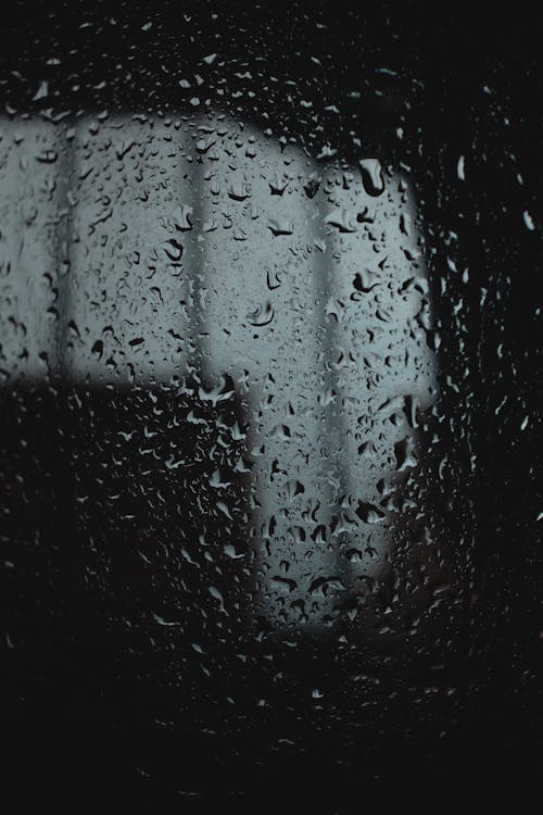 Bezpłatne Darmowe zdjęcie z galerii z krople, krople deszczu, mokry Zdjęcie z galerii