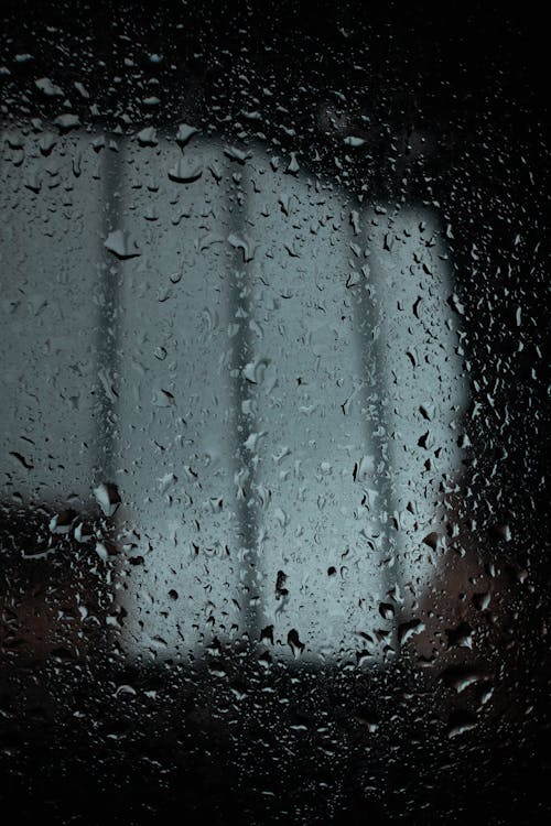 Základová fotografie zdarma na téma dešťové kapky, detail, kapky