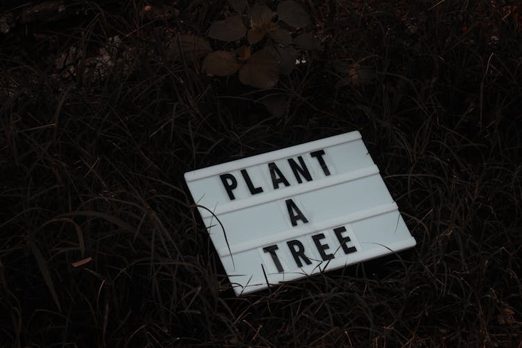 Plant A Tree Slogan On Grass