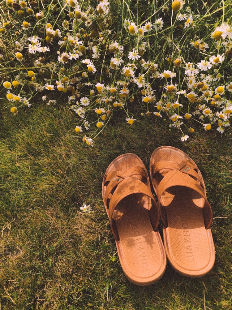 A Pair Of Sandals And Flowers Strewn On The Grass