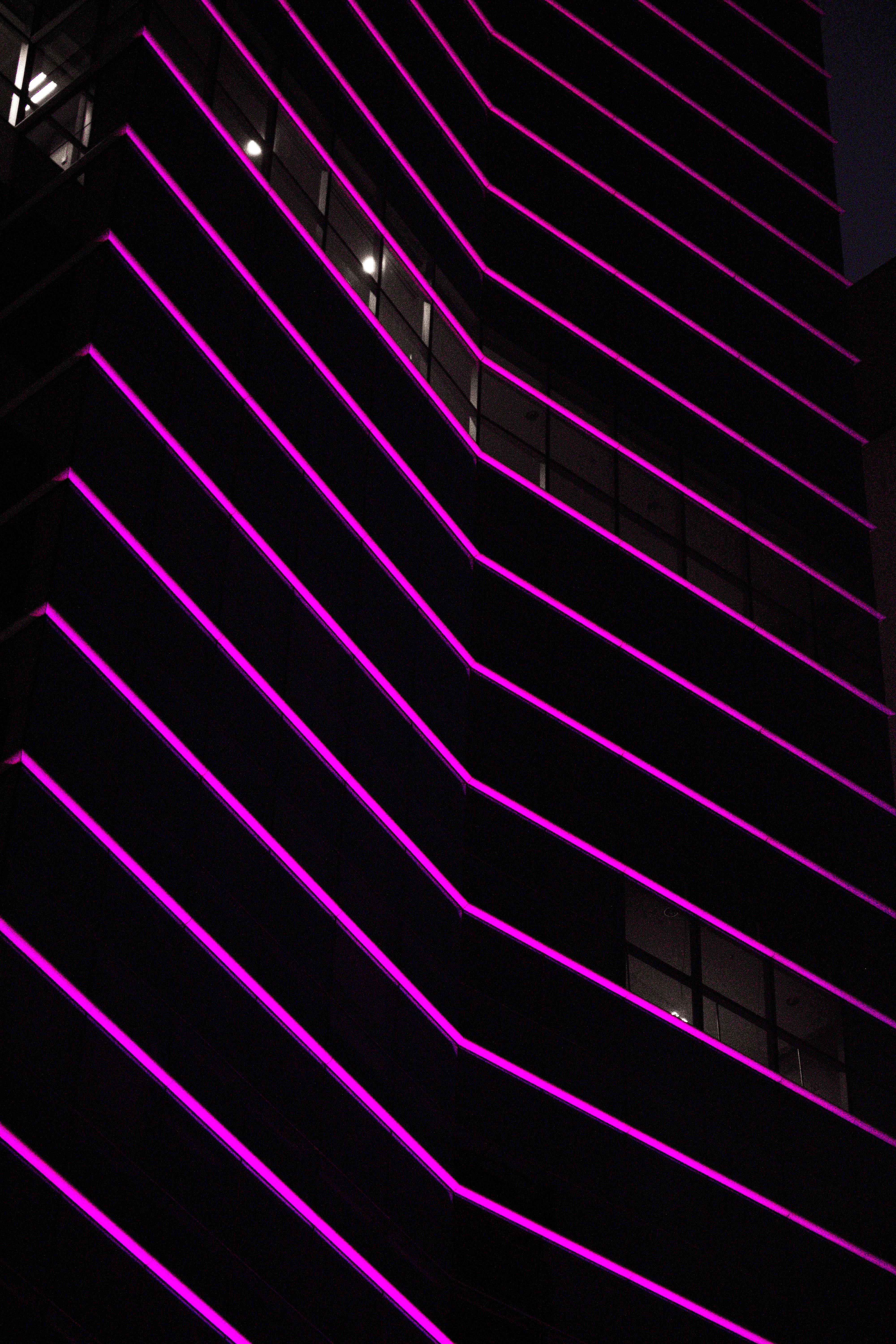 Free stock photo of building, building exterior, neon