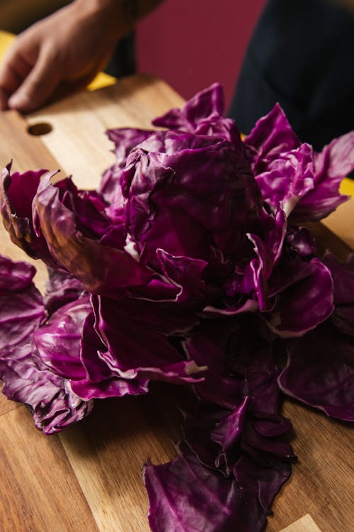 Free A Cabbage in Close-Up Photography Stock Photo