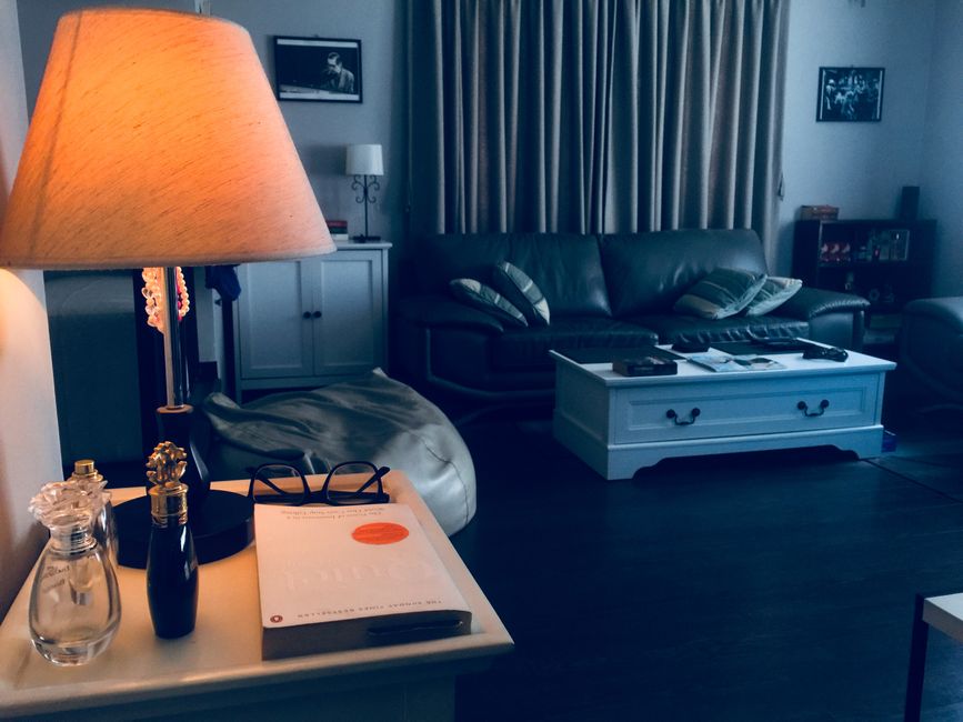 Roller Blinds or Zebra Shades: What Wins in Ottawa Homes?