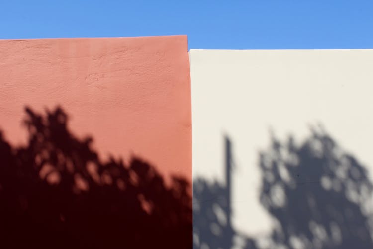 Shadows On White And Brown Wall 