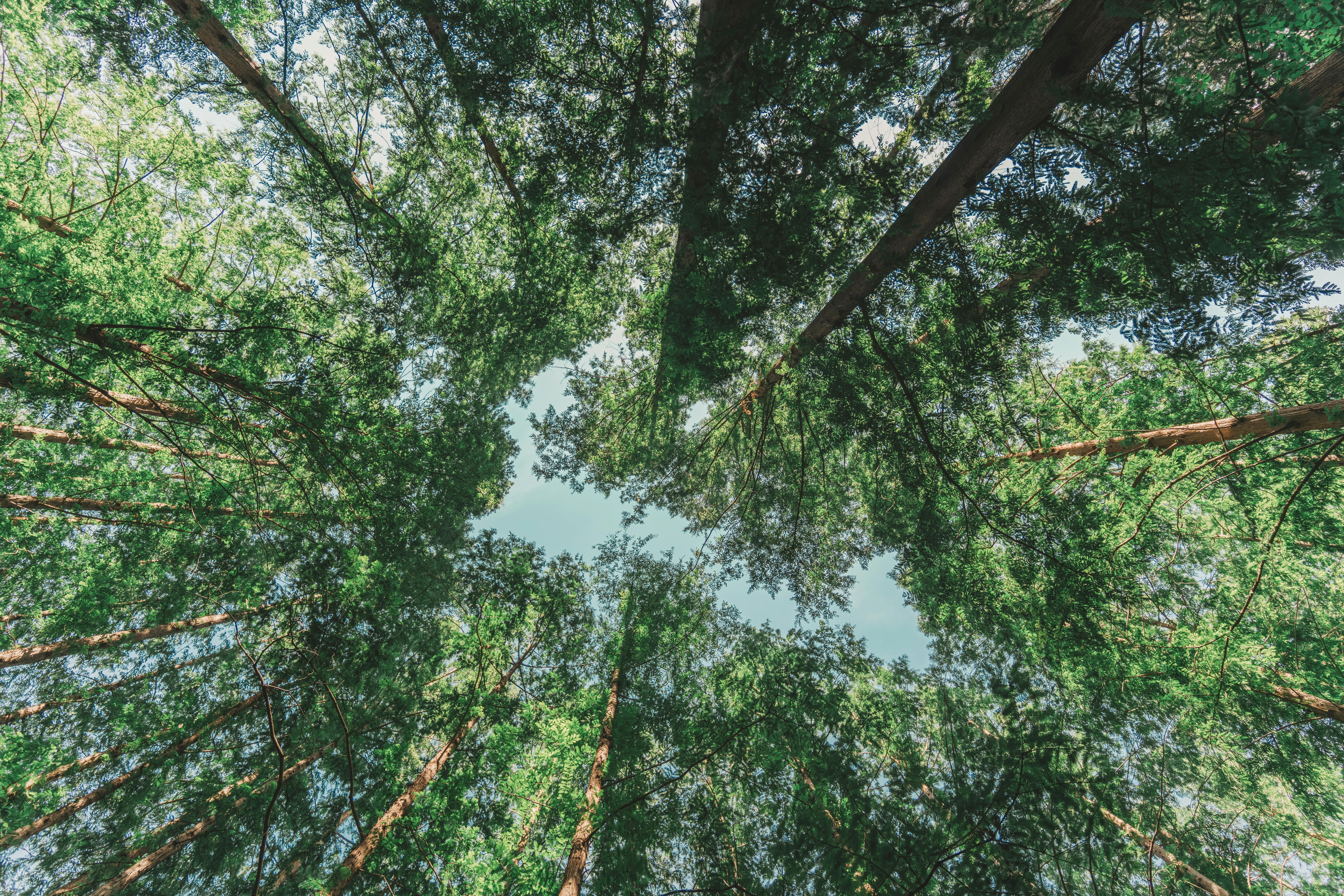 corporate governance esg good governance esg — Photo by zhang kaiyv on Pexels