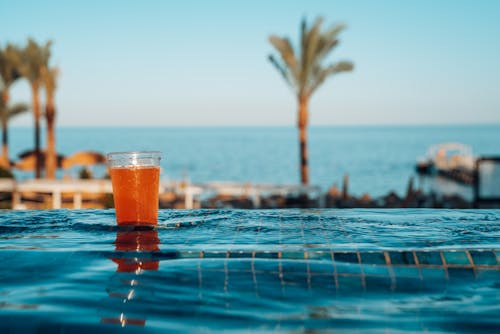 Orange-Colored Beverage in a Plastic Cup