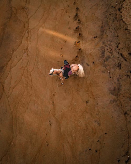Foto d'estoc gratuïta de cavall, conduint, foto des d'un dron