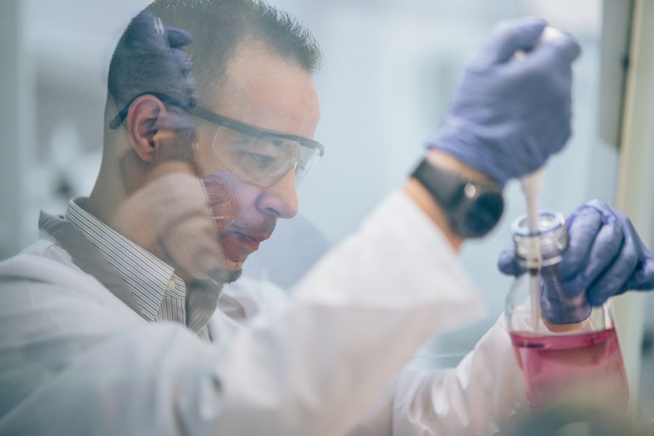 O-GlcNAcylation: 핵외 및 핵 내 단백질 변형의 동적 조절 기전과 생물학적 역할