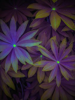 Image by Eugene Golovesov