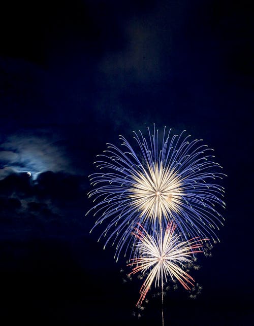 Fuochi D'artificio Di Broccato Blu E Rosso Di Notte