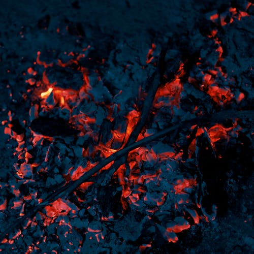 Close-up Shot of Burning Coals