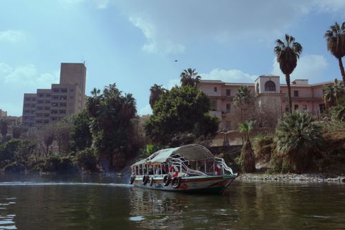 Free Scenic view of a traditional boat on the Nile River with palm trees and city buildings in the background. Stock Photo