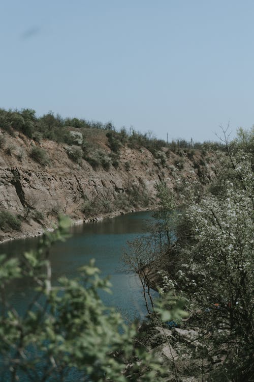 Photo of a River Near Plants