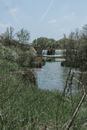 Green Grass Near Body of Water