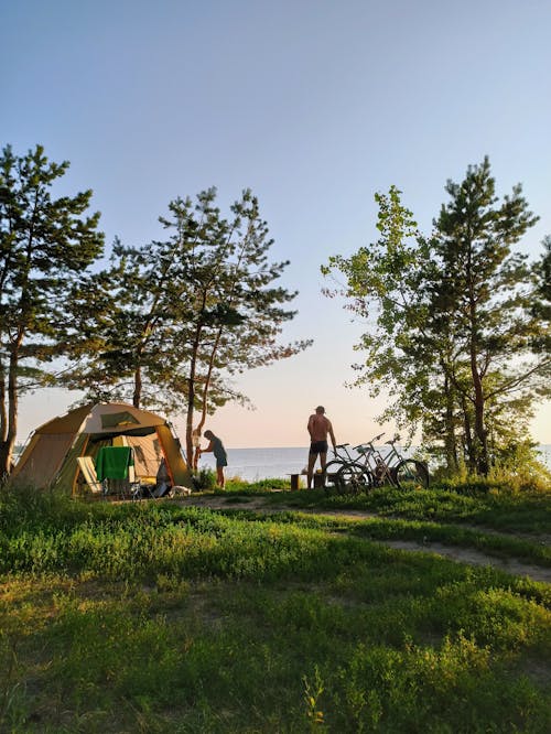 Gratis lagerfoto af Camping, Campingplads, cykler