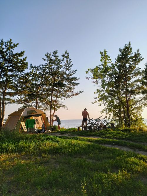 Free Peaceful lakeside campsite with tent and bicycles amidst tall trees at sunset in Berdsk, Russia. Stock Photo