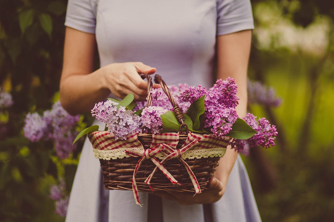 Free Woman Carrying Purple Flowers Stock Photo