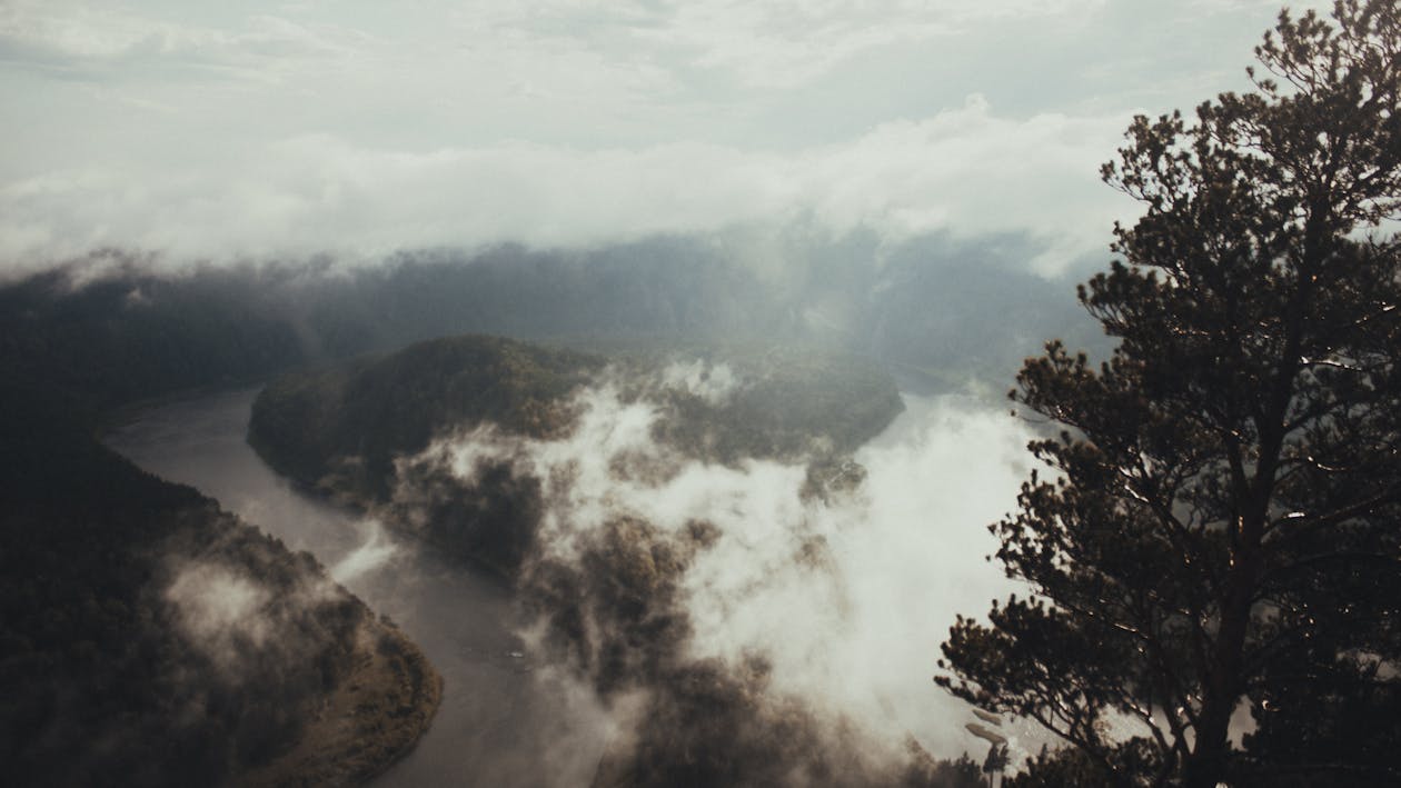 Green Trees on Mountain Under White Clouds