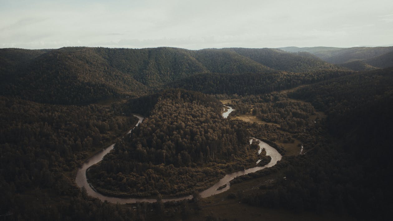 Aerial View of River Surrounded With Green Trees and Mountains