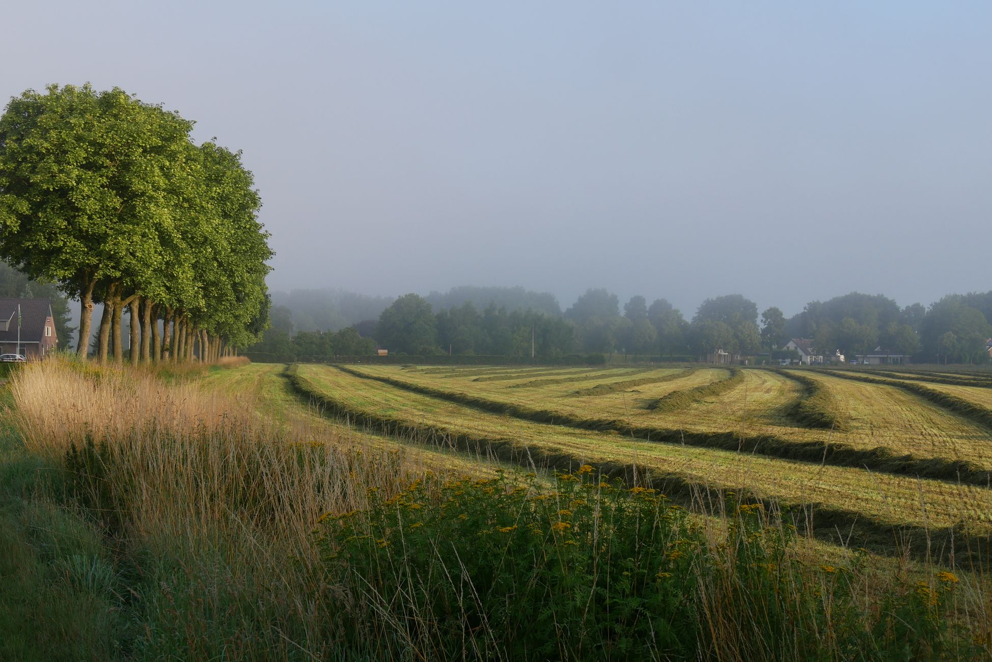 Peel en Maas creatief met bouwrechten voor stoppende veehouders
