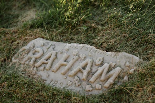 Foto d'estoc gratuïta de cementiri, esculpint, graham