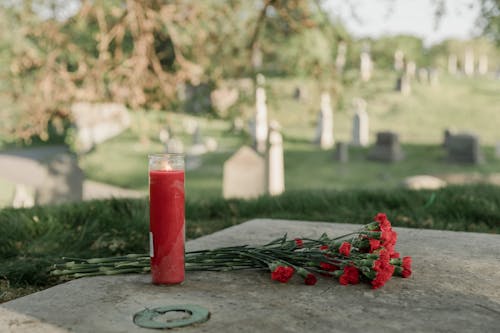 Foto d'estoc gratuïta de cementiri, espelma, flors