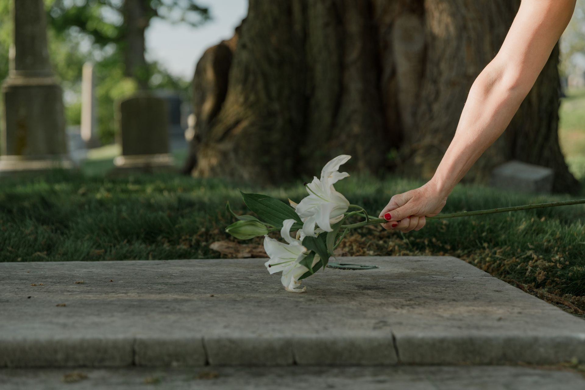 Des fleurs blanches déposées pour un hommage au crépuscule