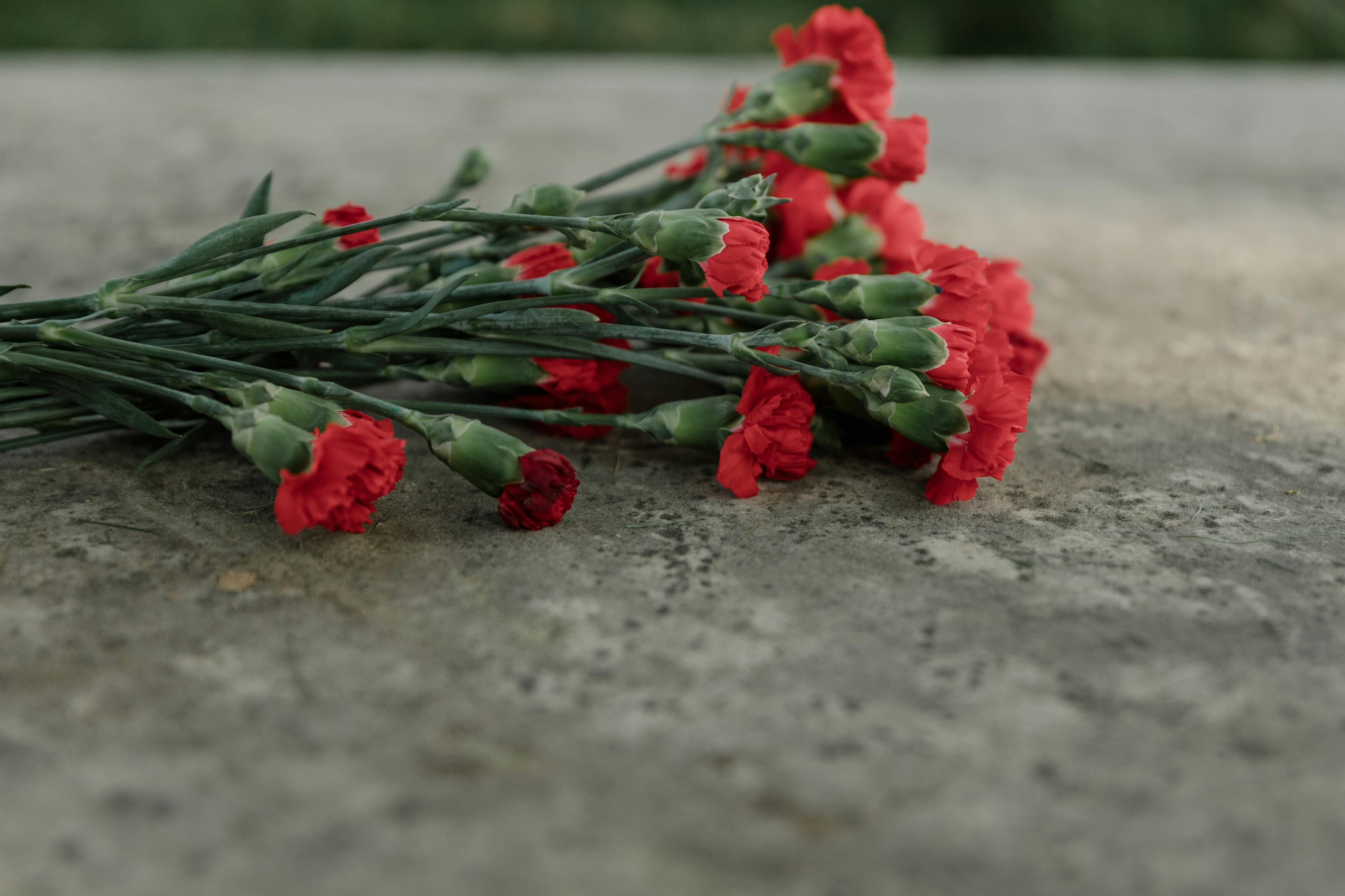 ▼鄰居們在羅賓遜家門邊放上鮮花以示哀悼。（示意圖／翻攝自pexels）