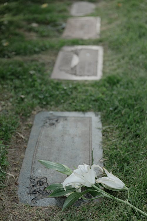 Free White Flowers on a Grave Stone Stock Photo