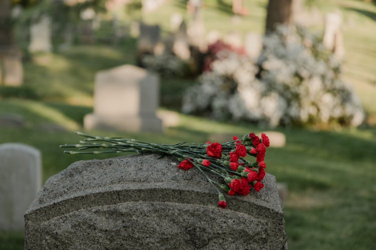 Red Flowers On Top Of A Headstone