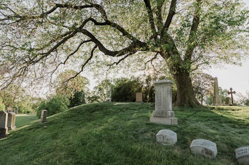 チルトシフト, 埋葬地, 墓地の無料の写真素材