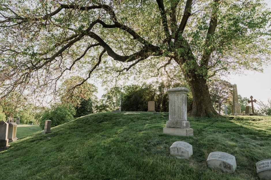 Peaceful cemetery scene with tombstones under a large tree, showcasing nature and tranquility.