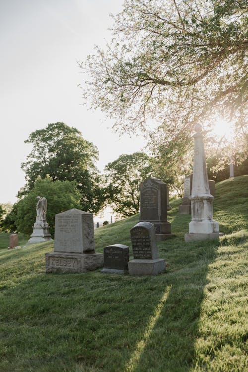 Free Tombstones on a Cemetery Stock Photo