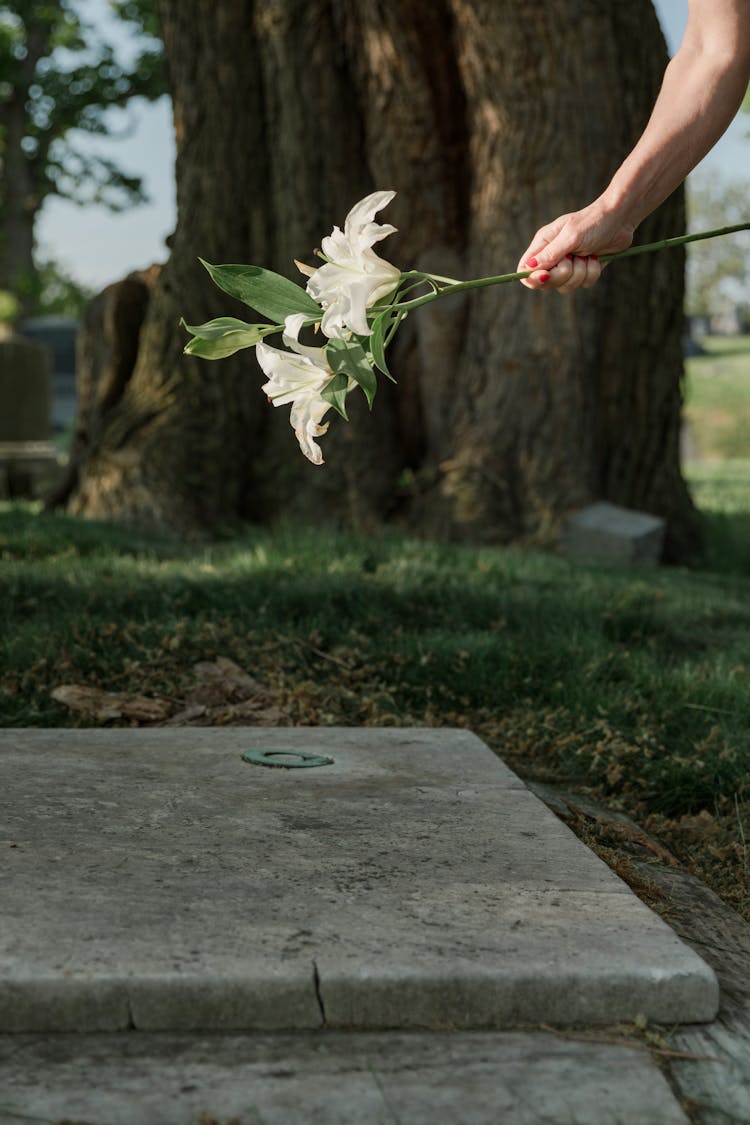 Hand Leaving White Lilies On Grave