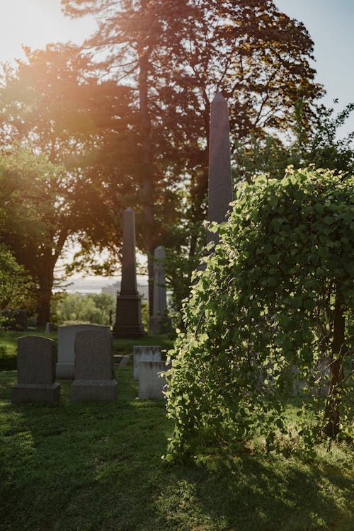 Základová fotografie zdarma na téma hřbitov, hroby, náhrobky