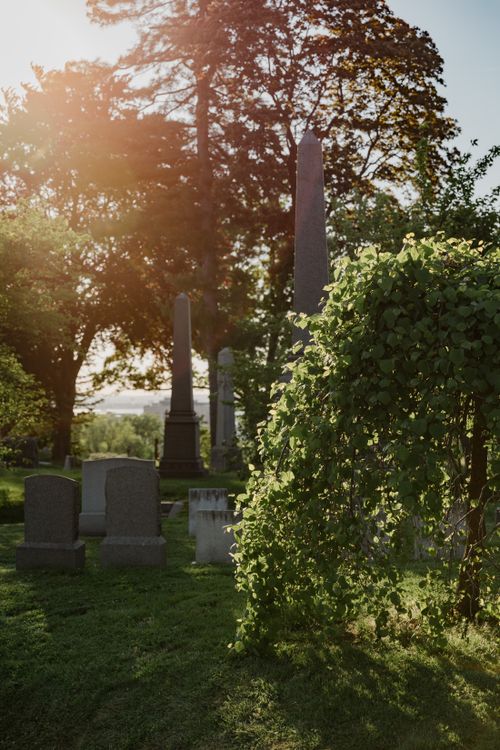 Free Sunlit cemetery with gravestones and lush greenery during sunset. Stock Photo