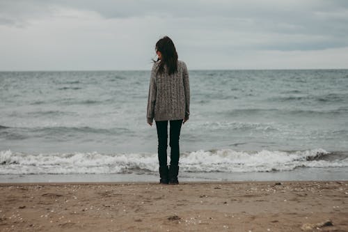 Free stock photo of back, composition, details