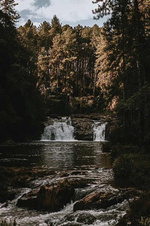 Free A beautiful forest waterfall cascading into a serene lake surrounded by lush greenery. Stock Photo
