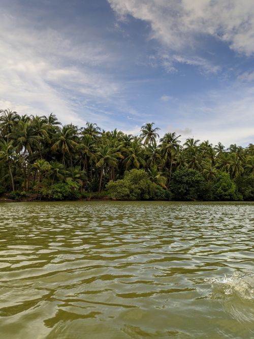 Free Serene tropical river scene with lush palm trees under a vibrant blue sky, perfect for nature lovers. Stock Photo