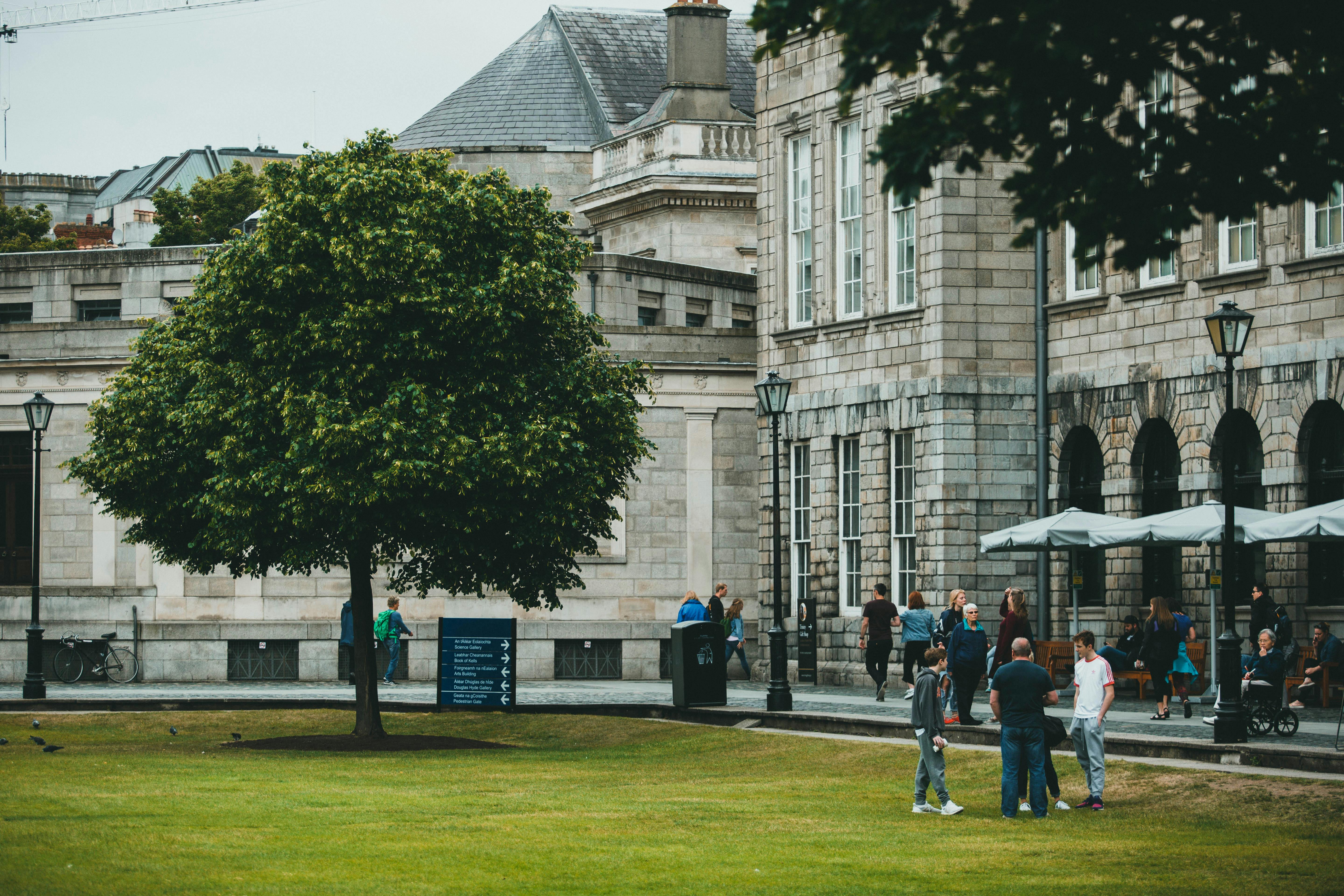 policy explainers public policy — Photo by Jonathan Cooper on Pexels